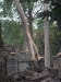 asiatour-2010-2010-01-20-16-15-56