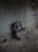 asiatour-2010-2010-01-21-07-37-37
