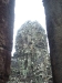 asiatour-2010-2010-01-21-10-42-43