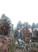 asiatour-2010-2010-01-21-11-32-14
