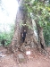 asiatour-2010-2010-01-21-12-10-51