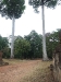 asiatour-2010-2010-01-21-12-54-08