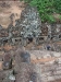 asiatour-2010-2010-01-21-13-38-47