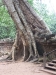 asiatour-2010-2010-01-21-14-27-19