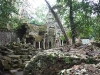 asiatour-2010-2010-01-21-14-28-46
