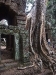 asiatour-2010-2010-01-21-14-37-25