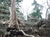 asiatour-2010-2010-01-21-14-40-47