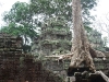 asiatour-2010-2010-01-21-14-40-54