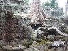 asiatour-2010-2010-01-21-14-41-06