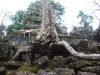 asiatour-2010-2010-01-21-14-42-12