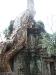 asiatour-2010-2010-01-21-14-45-06