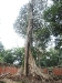 asiatour-2010-2010-01-21-14-49-31