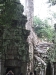 asiatour-2010-2010-01-21-14-51-54