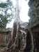asiatour-2010-2010-01-21-14-55-30