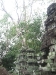 asiatour-2010-2010-01-21-14-57-52