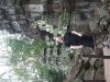 asiatour-2010-2010-01-21-14-58-23