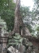 asiatour-2010-2010-01-21-15-01-26
