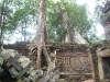 asiatour-2010-2010-01-21-15-04-04
