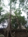 asiatour-2010-2010-01-21-15-04-22