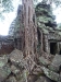 asiatour-2010-2010-01-21-15-04-39