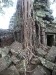 asiatour-2010-2010-01-21-15-04-44