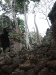 asiatour-2010-2010-01-21-15-06-24
