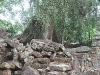asiatour-2010-2010-01-21-15-09-22