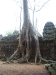 asiatour-2010-2010-01-21-15-12-57