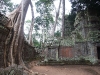 asiatour-2010-2010-01-21-15-14-13
