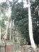 asiatour-2010-2010-01-21-15-16-25