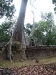 asiatour-2010-2010-01-21-15-26-34