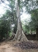 asiatour-2010-2010-01-21-15-27-02