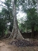 asiatour-2010-2010-01-21-15-27-06