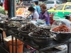asiatour-2010-2010-01-17-15-37-37