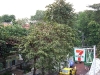 asiatour-2010-2010-01-24-09-31-26