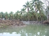 asiatour-2010-2010-01-25-07-58-07