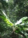 asiatour-2010-2010-02-01-13-33-13