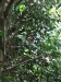 asiatour-2010-2010-02-01-13-41-43