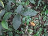 asiatour-2010-2010-02-01-13-55-16