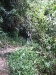 asiatour-2010-2010-02-01-14-11-33