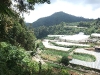 asiatour-2010-2010-02-01-15-04-59