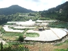 asiatour-2010-2010-02-01-15-05-04