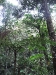 asiatour-2010-2010-02-02-14-30-49