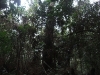 asiatour-2010-2010-02-02-15-17-03