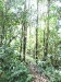 asiatour-2010-2010-02-02-15-33-27