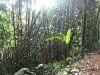 asiatour-2010-2010-02-03-10-16-40