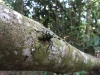 asiatour-2010-2010-02-03-11-26-24