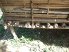 asiatour-2010-2010-02-03-12-28-58