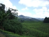 asiatour-2010-2010-02-03-14-03-13