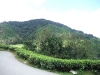 asiatour-2010-2010-02-03-14-03-48